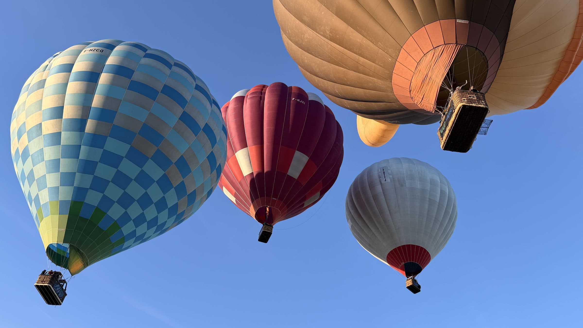 Montgolfières en vol au lever du jour